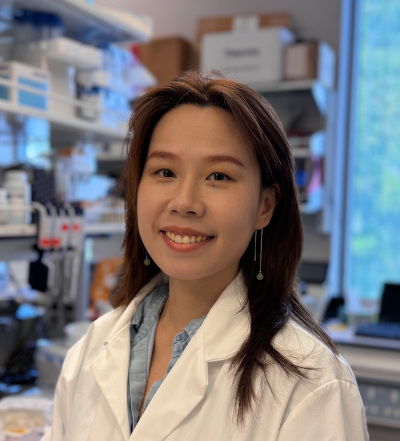 Wenjie Wang, PhD