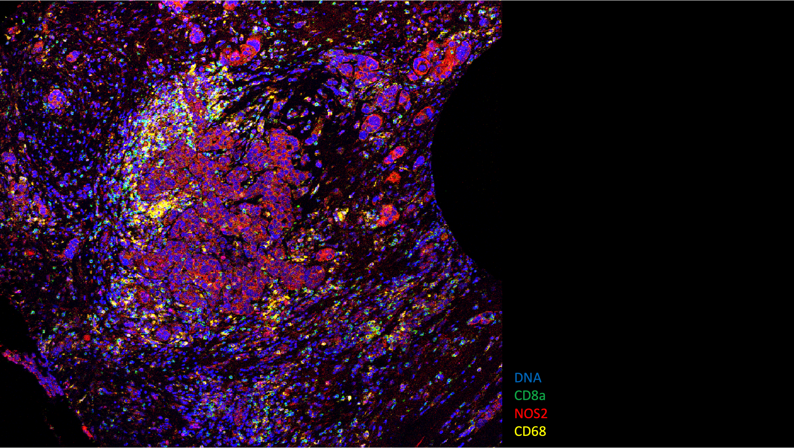 Description of image 1