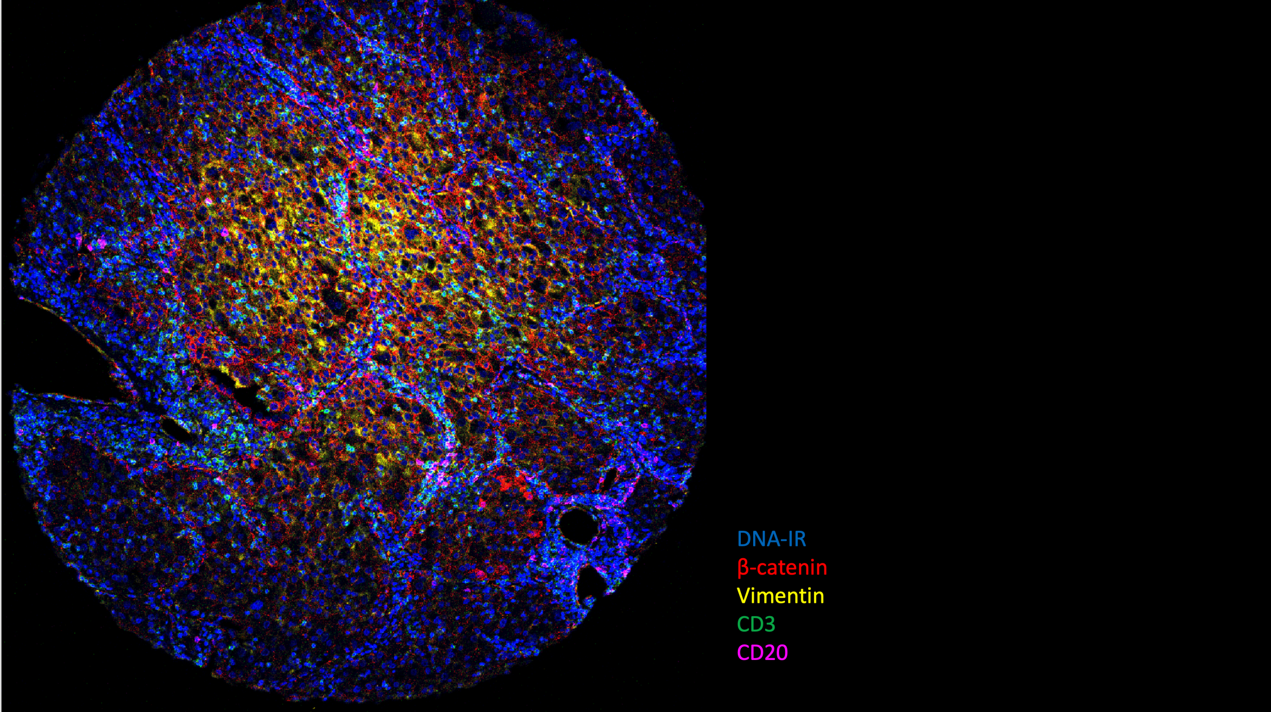 Description of image 2