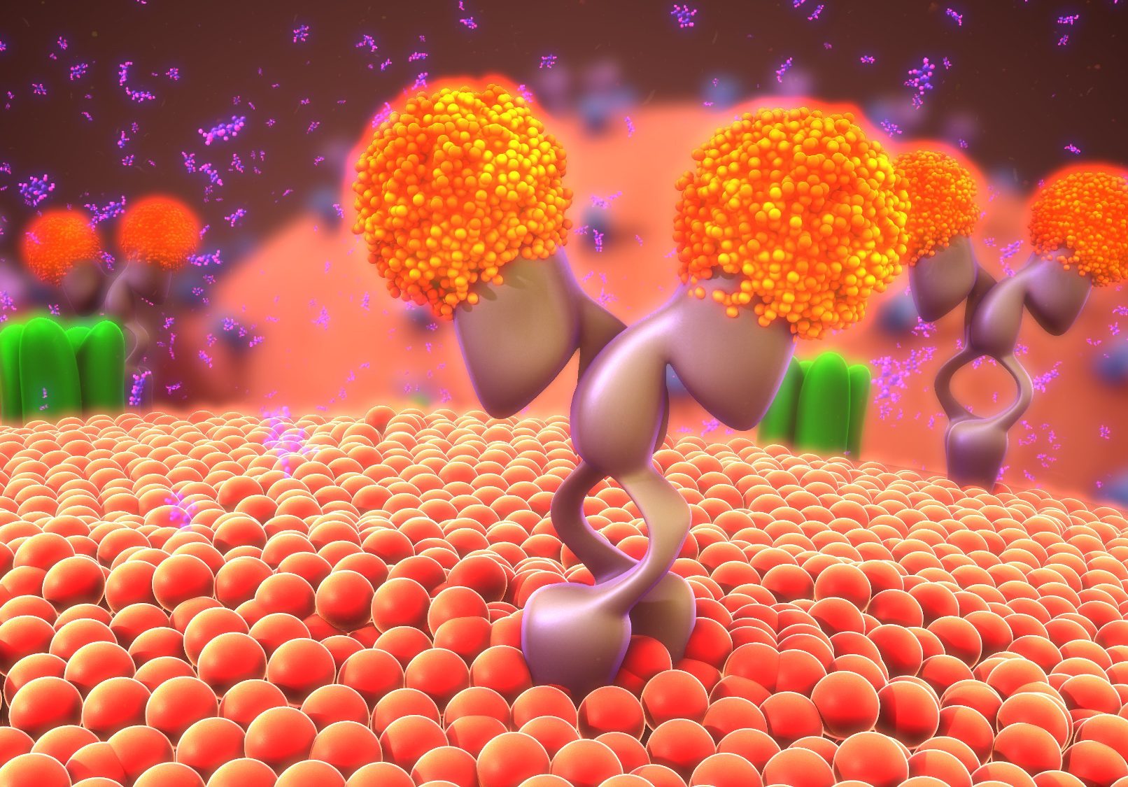 single-cell-analysis-facility-scaf-cancer-research-technology